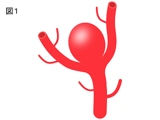 AN_figure1